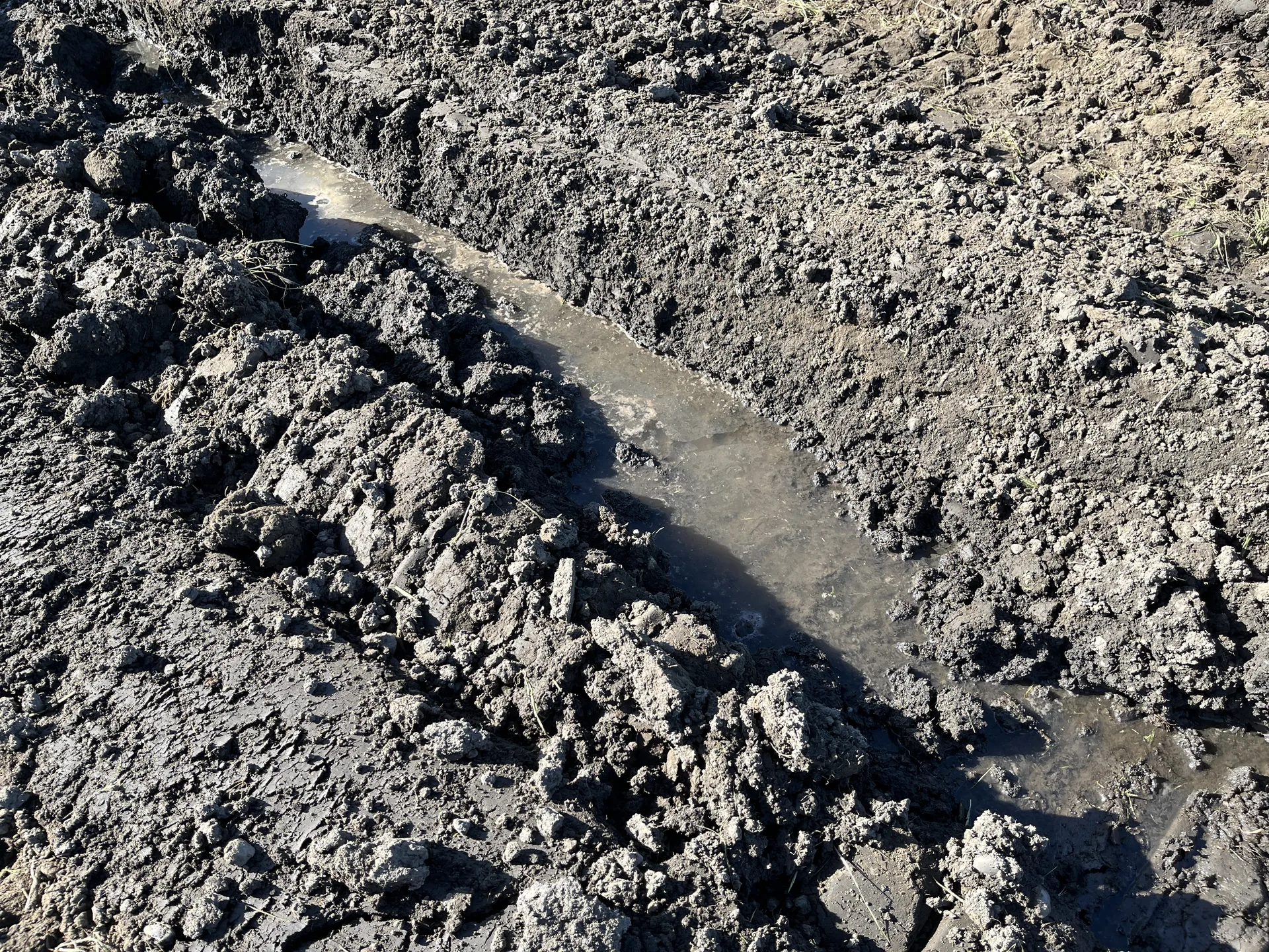 Groundwater filling a fresh rut in dark soil beside the stuck dozer