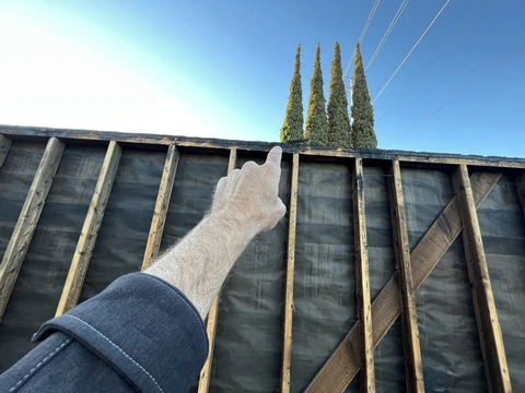Walnut Creek Rescue — before photo 31